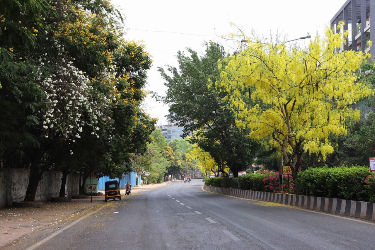 येणाऱ्या जाणाऱ्या वाहनांची चौकशीही पोलिसांकडून केली जात आहे. (Express Photo by Pavan Khengre)