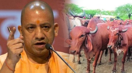 Uttarpradesh chief minister Yogi Adityanath