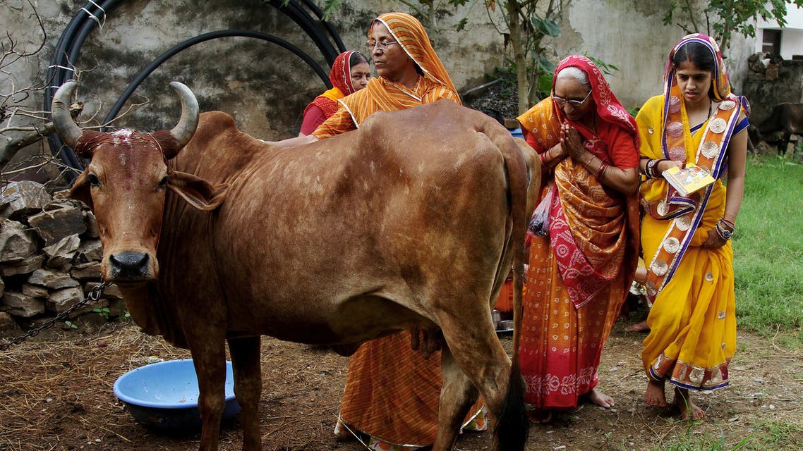हिंदू धर्मामध्ये गाय पवित्र मानली जाते. गाय ही जीवन आणि पृथ्वीचं प्रतिक असून गायीचं शेणं हे ग्रामीण भागामध्ये घरं सारवण्यासाठी, धार्मिक विधींसाठी, सरपण म्हणून गोवऱ्यांच्या स्वरुपात वापरले जाते.