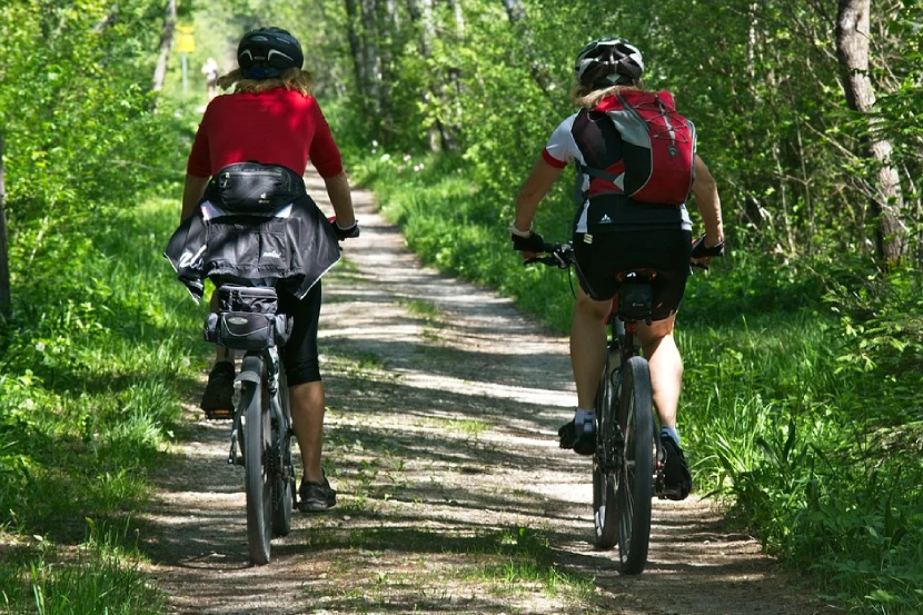 World Bicycle Day 2021