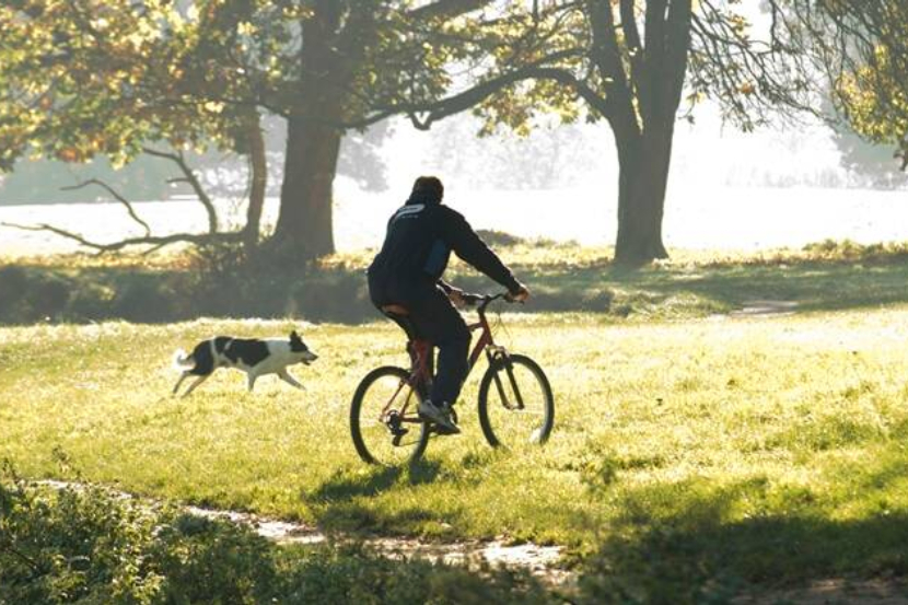 World Bicycle Day 2021