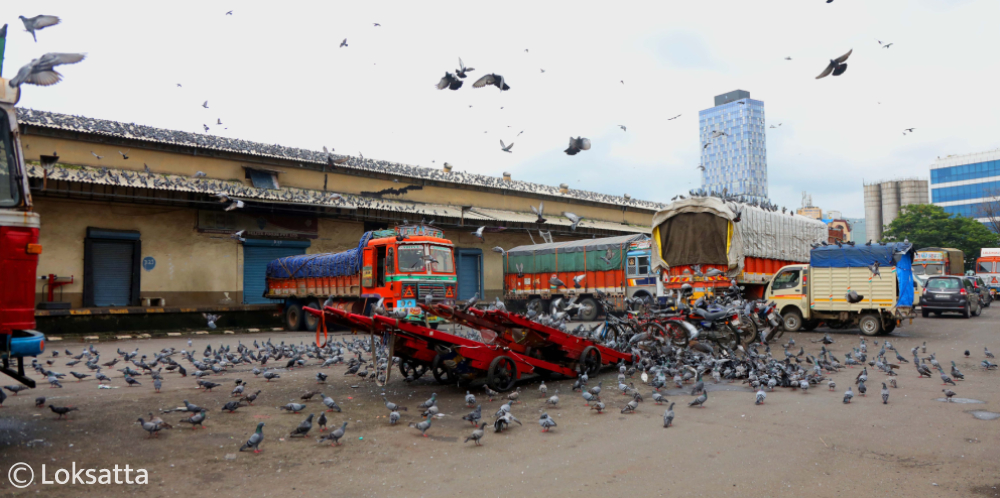 APMC Traders Strike Navi Mumbai