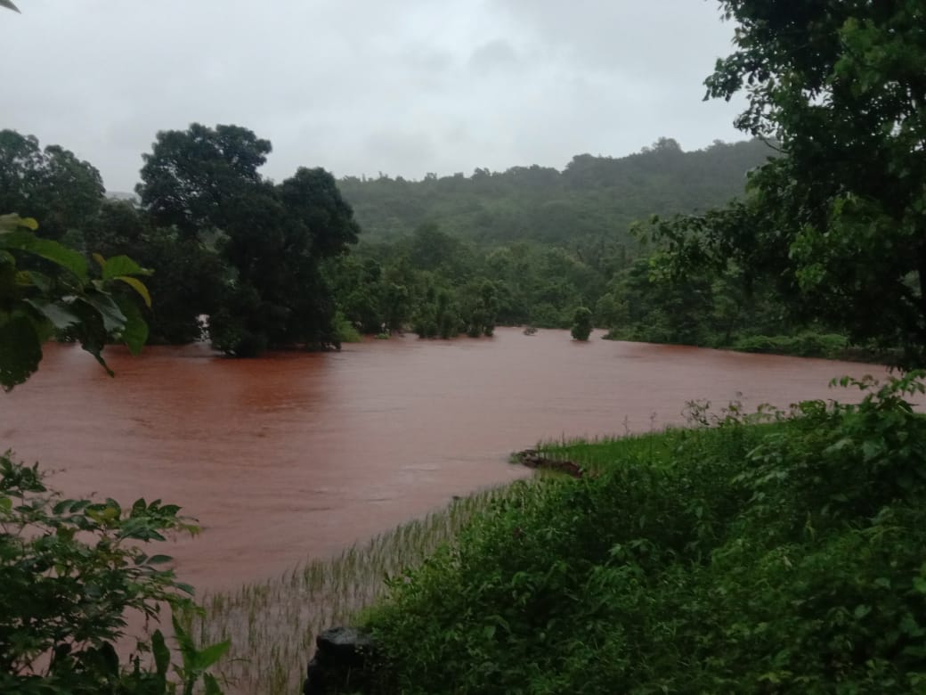 Heavy Rainfall Kokan Maharashtra