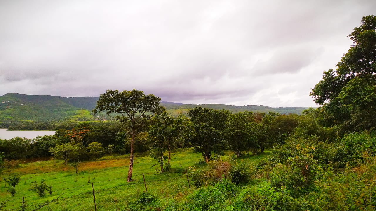 Panshet Dam Pune Photos