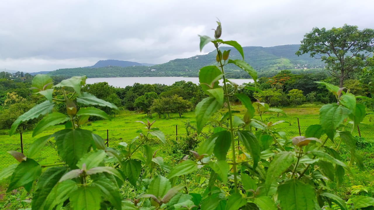 Panshet Dam Pune Photos