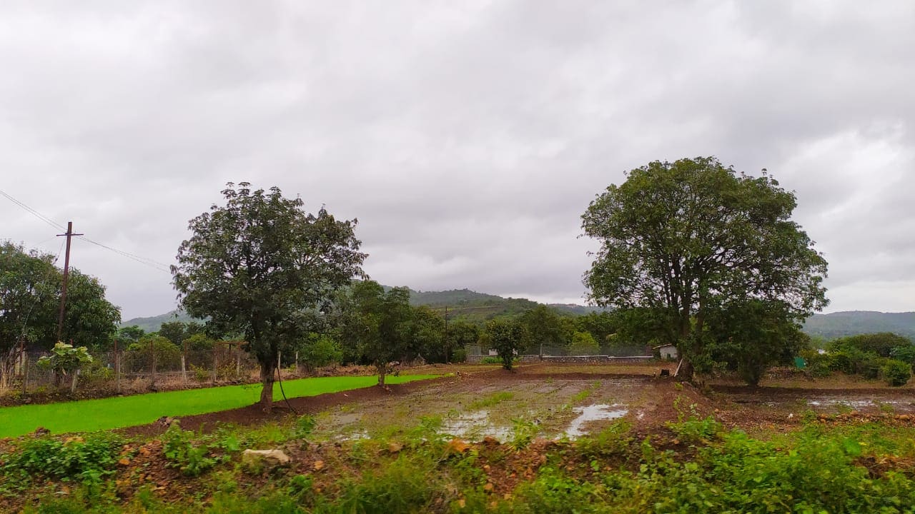 Panshet Dam Pune Photos