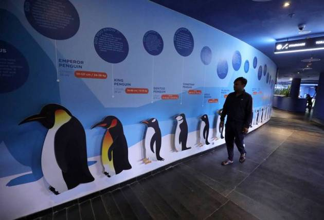Sharks Penguins Ahmedabad Aquatic gallery Robotic Gallery Nature Park