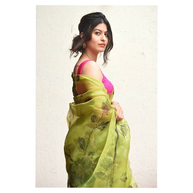 Ankita Lokhande, Shaheer Sheikh, Sushant Singh Rajput, Pavitra Rishta, Randeep Rai, Asheema Vardhan, popular show,