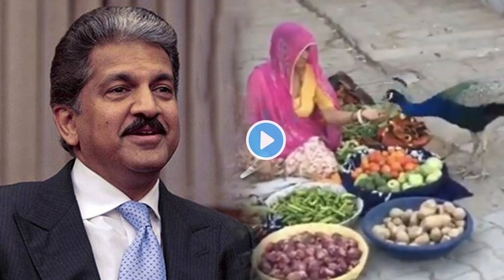 Anand Mahindra tweeted beautiful video