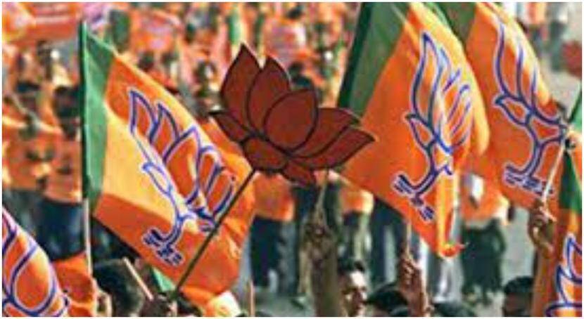 “प्रत्येक घरात परवानाधारक शस्त्रे ठेवावीत, तरच…”, भाजपाच्या महिला मंत्र्यांचं खळबळजनक विधान