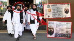 अफगाणिस्तान सरकारचं नेतृत्व करणारा तालिबानी नेता पाकिस्तानी?; समोर आला पासपोर्ट अन् राष्ट्रीय ओळखपत्र