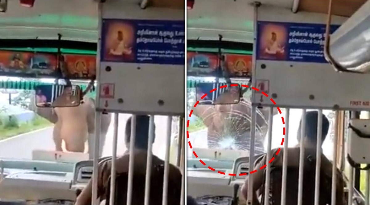 Video: Elephant attacks bus; The driver cleverly saved the lives of the