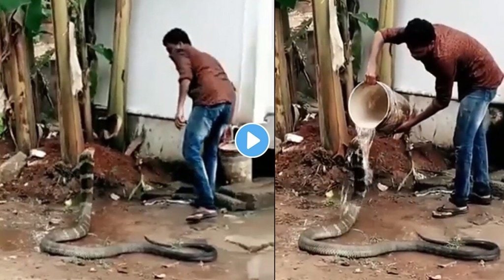 man-bathing-and-feeding-snake