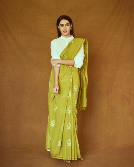 Genelia Deshmukh Saree Look Photos