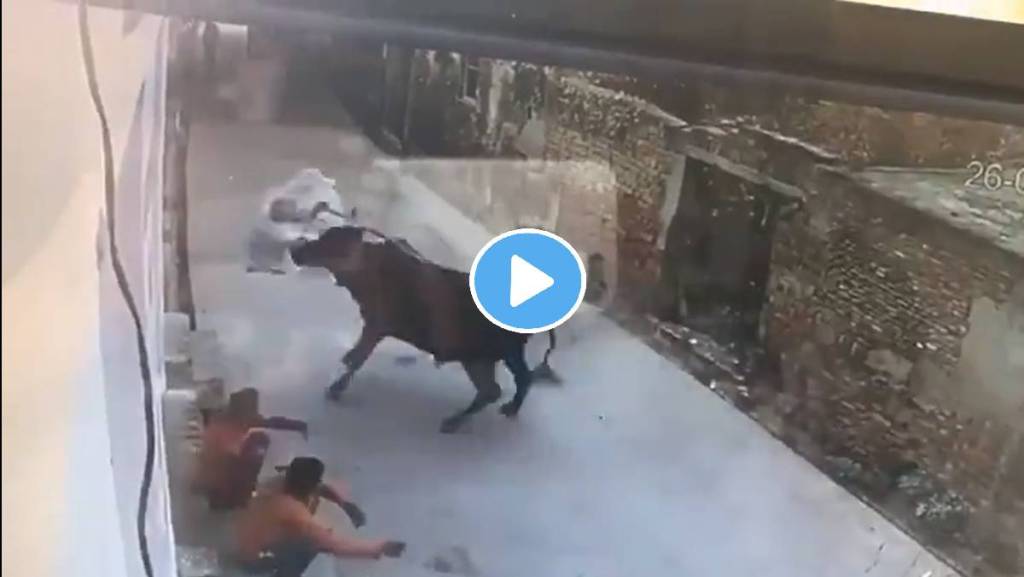 Old-Man-Beaten-Bull-Viral-Video