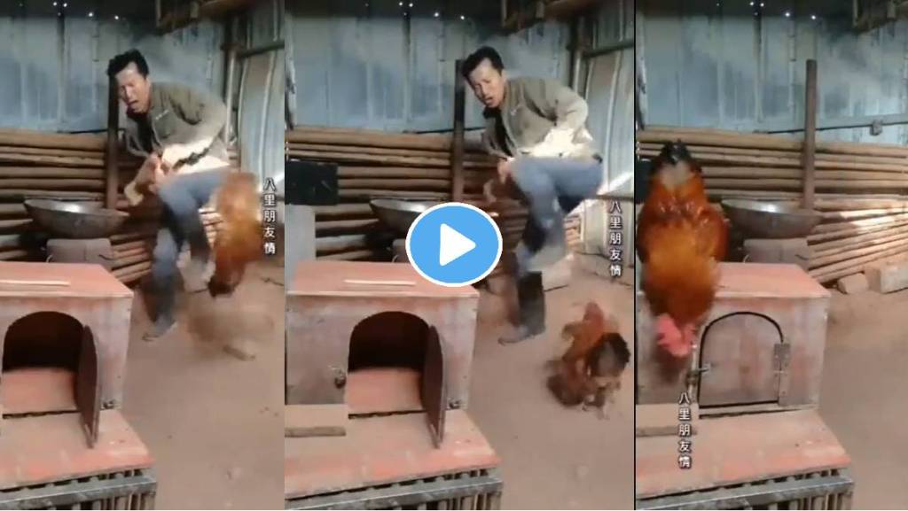 chicken-clashed-with-man-save-chicken-viral-video