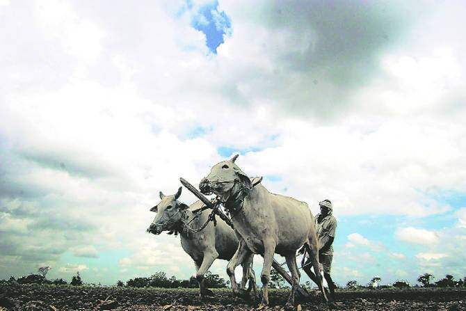 प्रधानमंत्री फसल विमा योजनेअंतर्गत रब्बी पिकांच्या विम्याची अंतिम तारीख आता ३१ डिसेंबरपर्यंत वाढवण्यात आली आहे. आता या योजनेचा लाभ घेऊन शेतकरी आपली पिके नैसर्गिक आपत्तीपासून वाचवू शकतात.