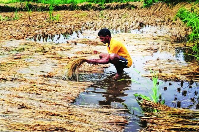 केंद्र सरकारच्या म्हणण्यानुसार, योजनेतील प्रीमियमची रक्कम राज्य सरकार ठरवतात. राज्य सरकार आपल्या जिल्ह्याच्या तांत्रिक समितीच्या अहवालात निर्णय घेते. त्यानंतर प्रीमियमची रक्कम ठरवली जाते.