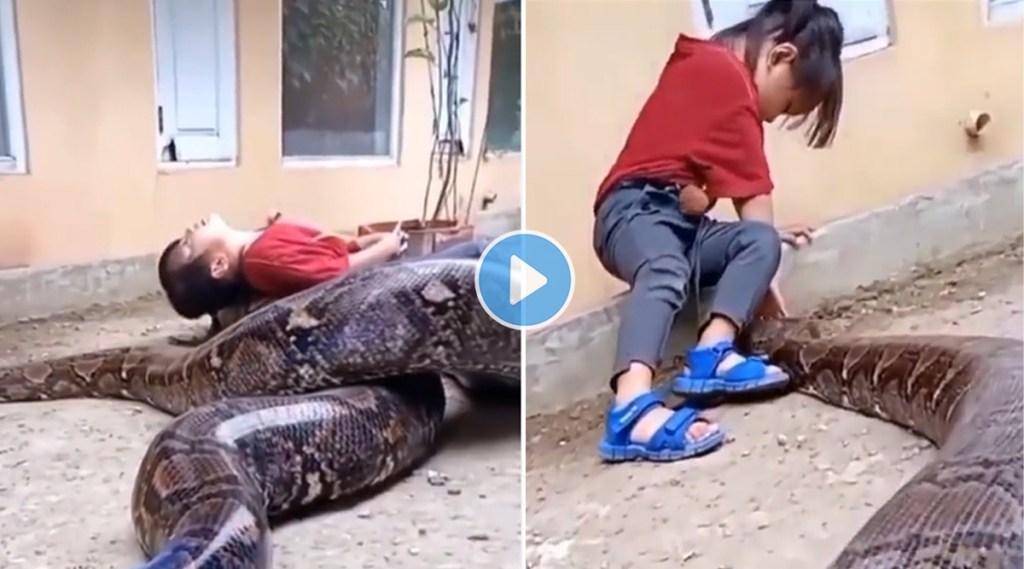 girl playing with giant snake