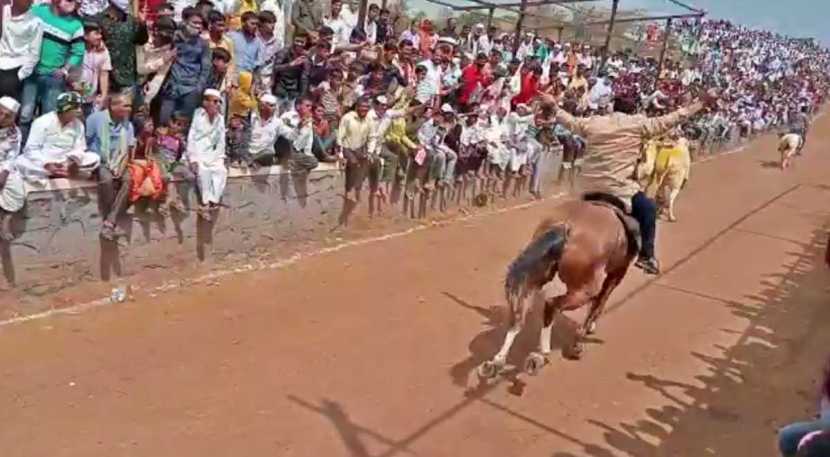 यावेळी अनेक नागरिकांनी अमोल कोल्हे यांची घोडेस्वारी आपल्या कॅमेरात कैद केली.