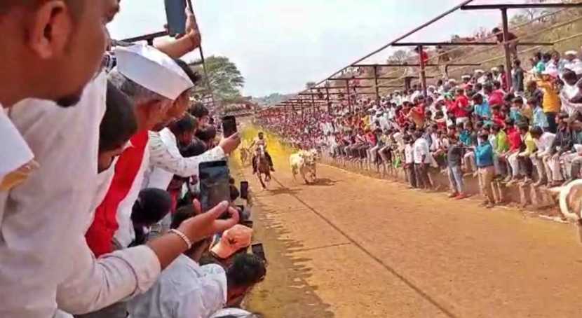 अमोल कोल्हे ट्वीटमध्ये म्हणाले, “भिर्रर्रर्र..! कुलदैवत खंडोबाच्या चरणी नतमस्तक होऊन आज घाटात घोडी धरली आणि भंडाराही उधळला.”