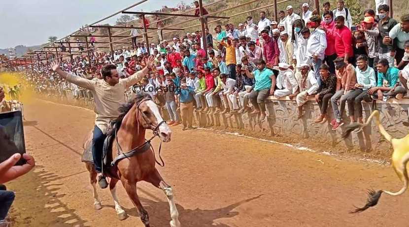 अमोल कोल्हे यांनी बारीत हा सोडून घोडेस्वारी केली.