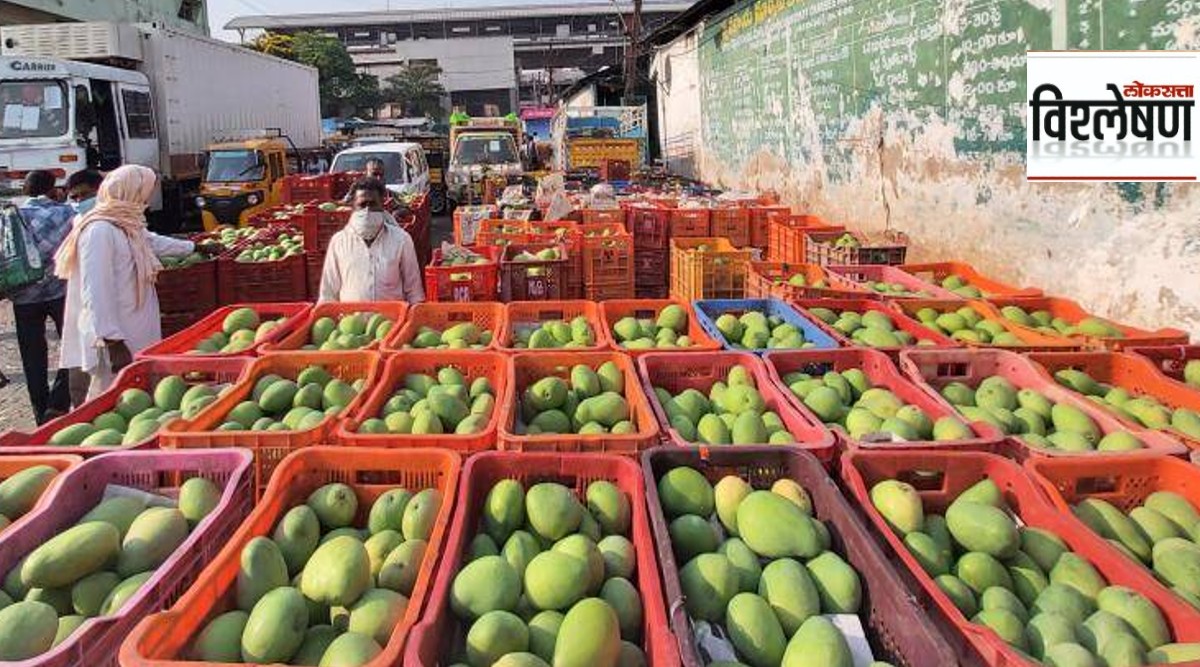 विश्लेषण : कृषी निर्यात धोरण तयार; पुढचा टप्पा महत्त्वाचा