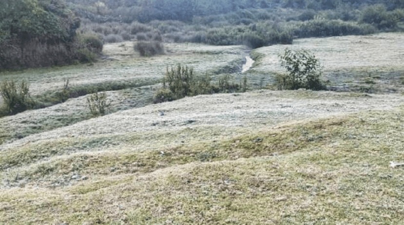 गेल्या वर्षी सततच्या पडणाऱ्या दवबिंदूमुळे आणि तापमानातील घट यामुळे चहाच्या बागांचे मोठ्या प्रमाणात नुकसान झाले होते. (Photo- Indian Express)