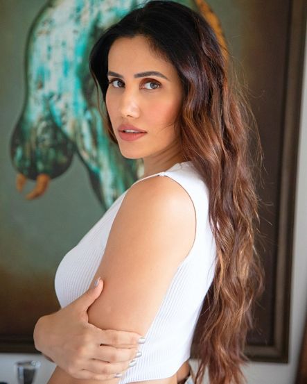 Sonnalli Seygall Hot Photos