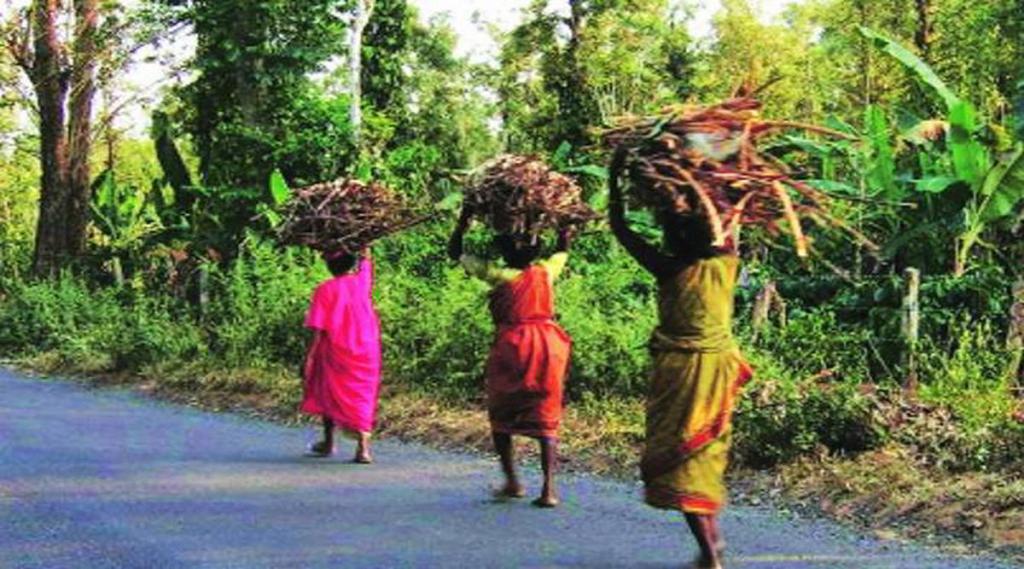 Pesa law made by the government to protect the rights of the tribals