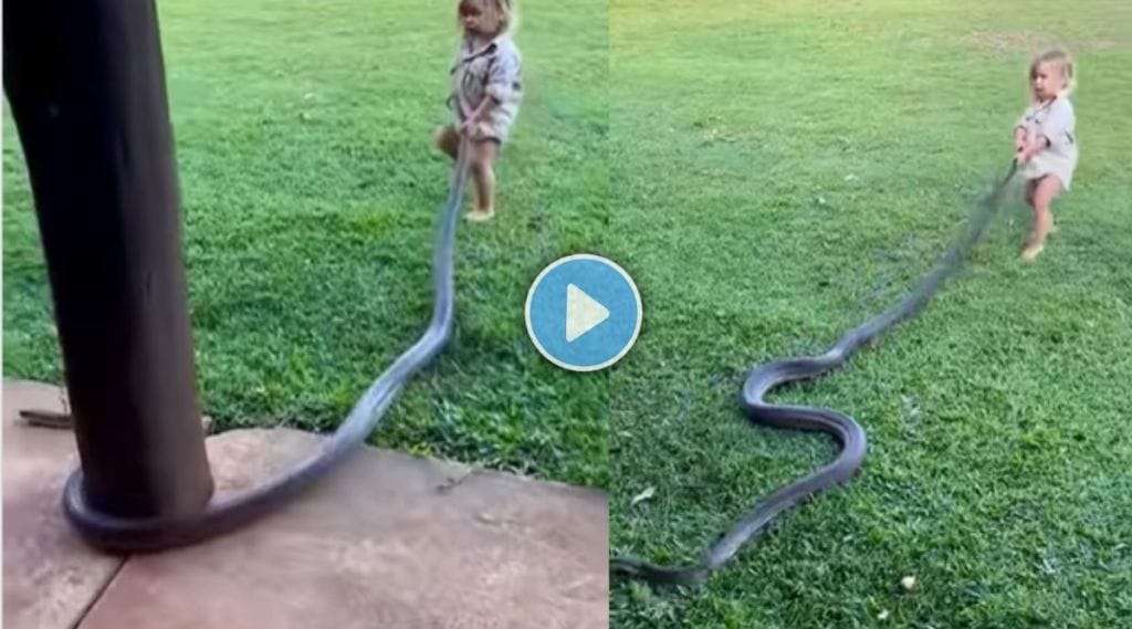 Little Girl With Snake