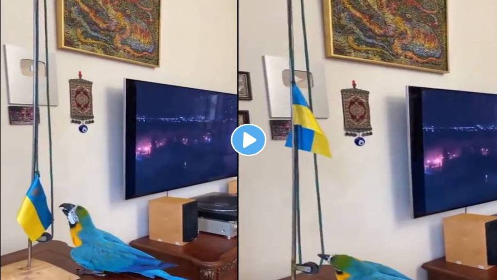 Parrot-Hoists-Ukraine-flag