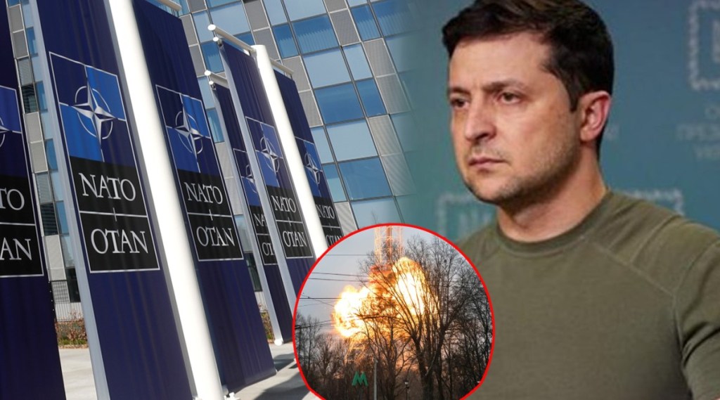 Volodymyr Zelenskyy criticised NATO