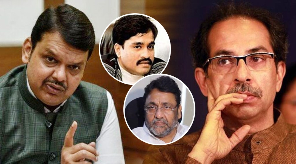 devendra fadnavis targets uddhav thackeray on nawab malik