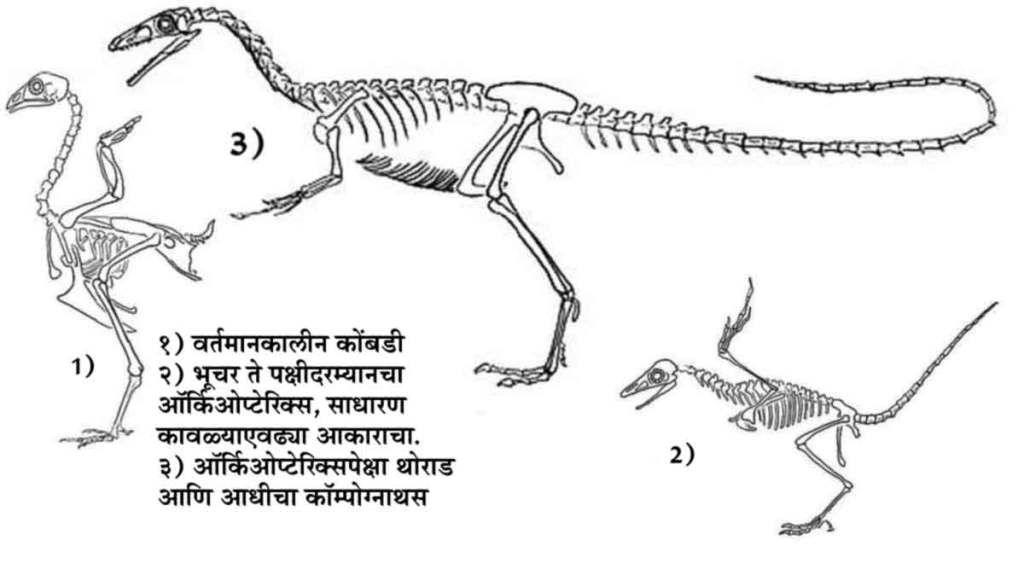 सृष्टी-दृष्टी : आकाशी झेप घे रे..