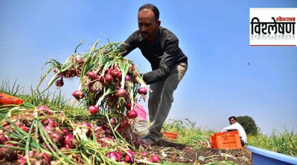 onion farmer