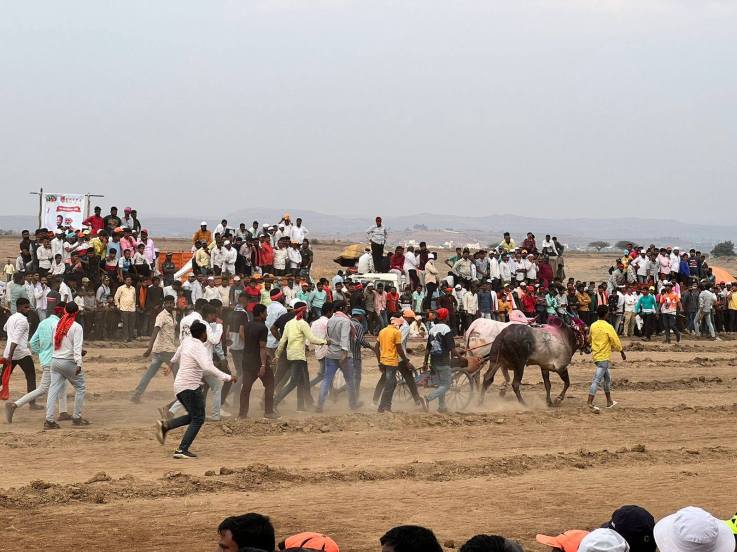 त्यामुळे गेली कित्येक वर्ष गावातील जत्रा, सण-उत्सव बैलगाडी शर्यतीविना पार पडत होते.