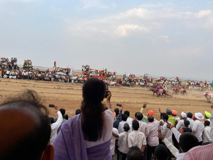 परंतु सर्वोच्च न्यायालयाच्या सशर्त परवानगीनंतर बैलगाडा शर्यत संपूर्ण महाराष्ट्रात उत्साहात आणि आनंदात सुरु करण्यात आली.