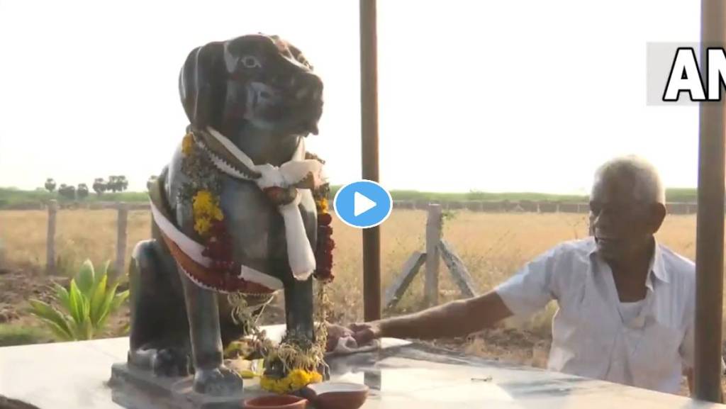 Dog-Temple-viral-video