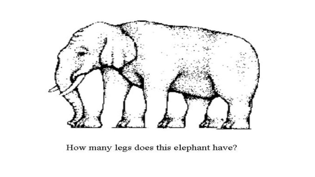 Puzzle: 'या' फोटोतील हत्तीला किती पाय आहेत? तुम्ही सांगू शकता का योग्य ...