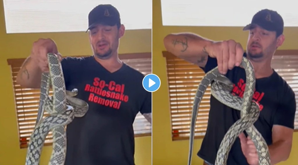 (photo credit: facebook/ So-Cal Rattlesnake Removal)