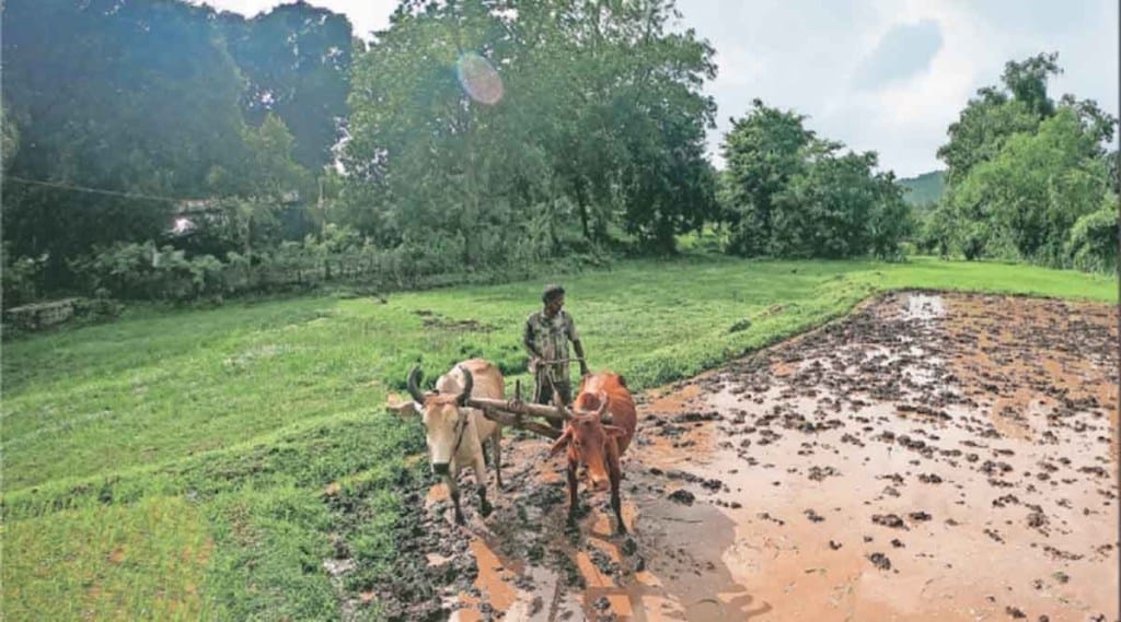 कृषी विभागाचा अनागोंदी कारभार चव्हाटय़ावर; २०१५ पासून योजनांच्या खर्चाच्या निकषात वाढच नाही