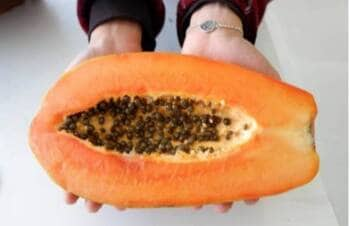 papaya seeds