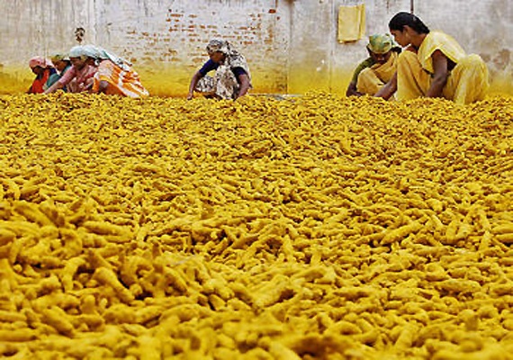 turmeric market in sangli does good business this year