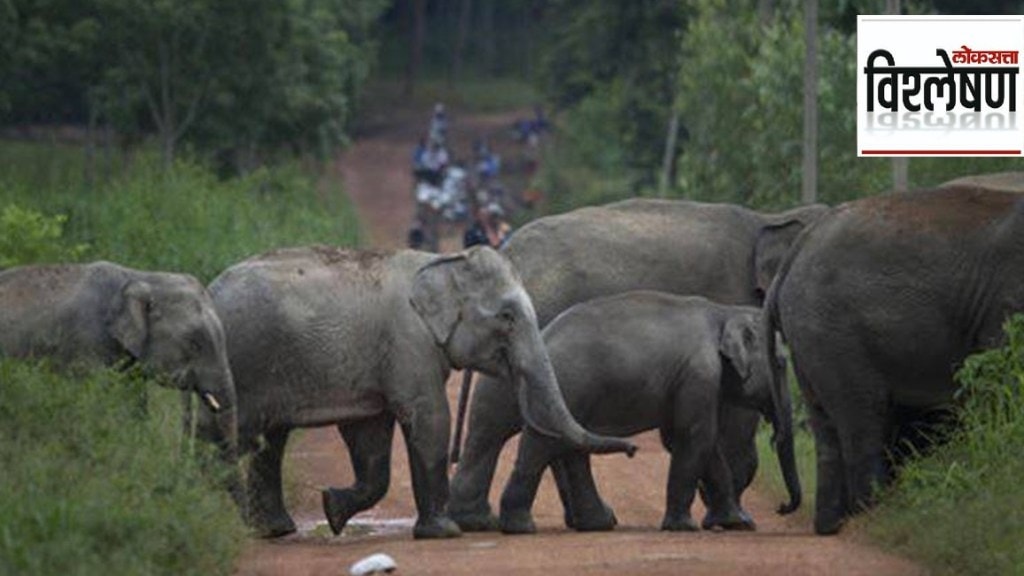 India Elephants Census