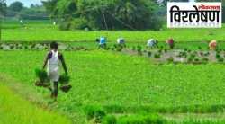 विश्लेषण : शेतीविषयक कोणत्या धोरणामुळे श्रीलंकेवर आर्थिक संकट?