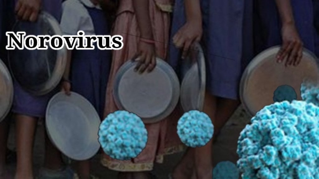 Norovirus