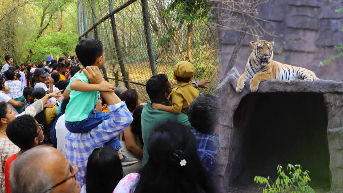 Rajiv Gandhi Zoological Park Pune