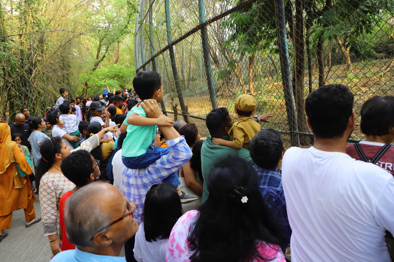 Rajiv Gandhi Zoological Park Pune