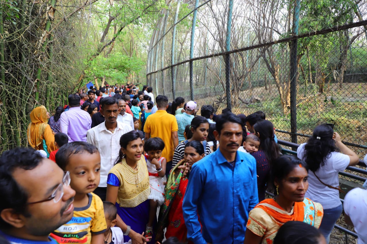 Rajiv Gandhi Zoological Park Pune